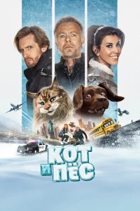 Кот и пёc
