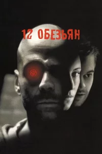 12 обeзьян